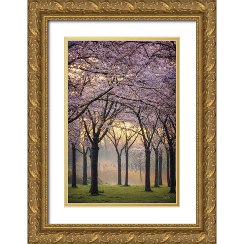 Cherry Trees at Sunrise Gold Ornate Wood Framed Art Print with Double Matting by Podt, Martin