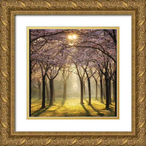 Cherry Trees in Morning Light II Gold Ornate Wood Framed Art Print with Double Matting by Podt, Martin