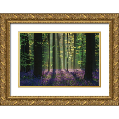 Perfect Spring Scene Gold Ornate Wood Framed Art Print with Double Matting by Podt, Martin