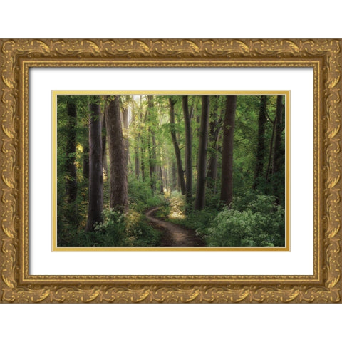 Spring Chaos Gold Ornate Wood Framed Art Print with Double Matting by Podt, Martin
