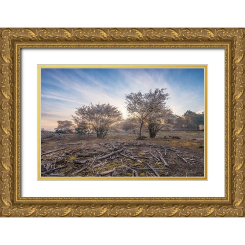 Spring Bushes at Sunrise Gold Ornate Wood Framed Art Print with Double Matting by Podt, Martin