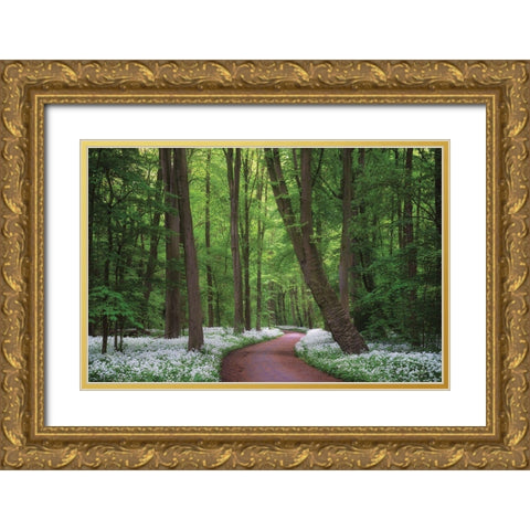 Fragrant Road Gold Ornate Wood Framed Art Print with Double Matting by Podt, Martin
