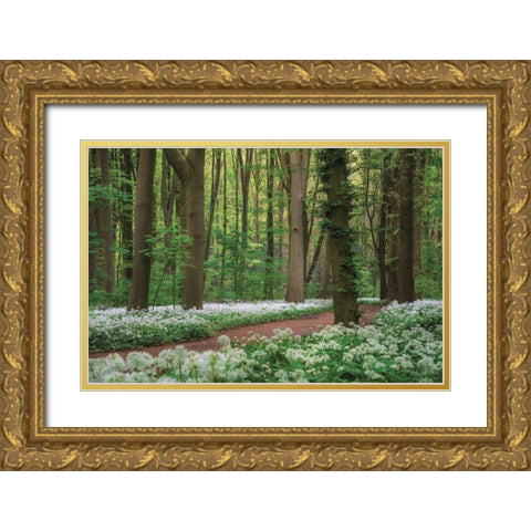 White Carpet Gold Ornate Wood Framed Art Print with Double Matting by Podt, Martin