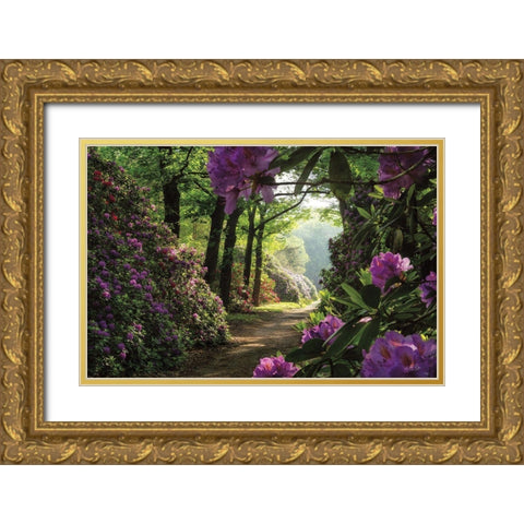 Rhododendron Lane Gold Ornate Wood Framed Art Print with Double Matting by Podt, Martin