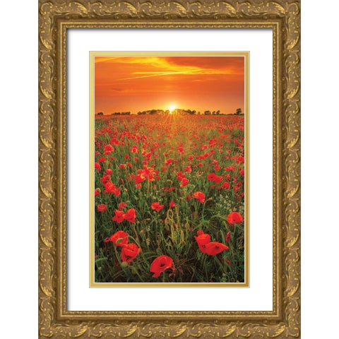 Poppies at Sunset Gold Ornate Wood Framed Art Print with Double Matting by Podt, Martin