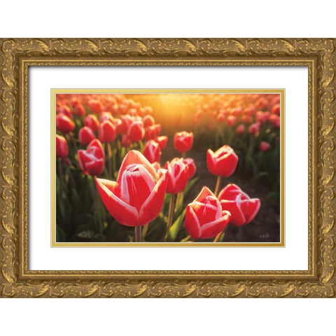 Tulips at Sunrise Gold Ornate Wood Framed Art Print with Double Matting by Podt, Martin