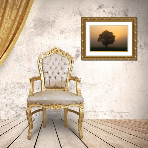 Solitary Oak Gold Ornate Wood Framed Art Print with Double Matting by Podt, Martin