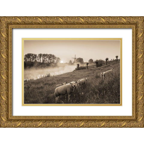 Grazing Sheep    Gold Ornate Wood Framed Art Print with Double Matting by Podt, Martin