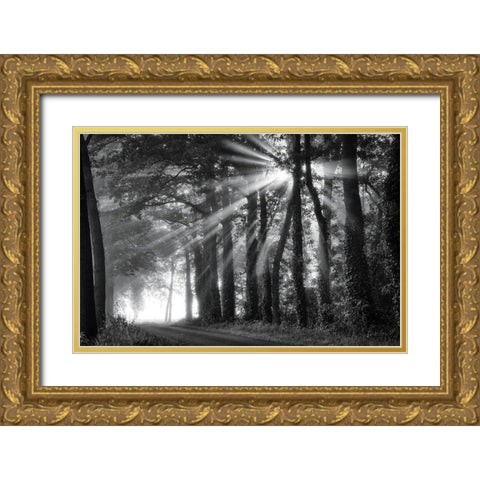 Amazing Rays Gold Ornate Wood Framed Art Print with Double Matting by Podt, Martin