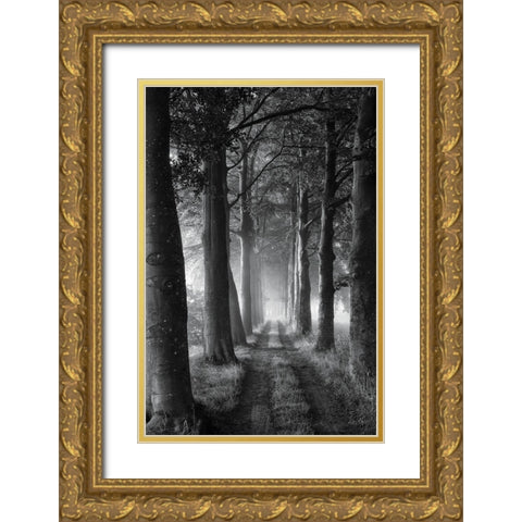 Forest Path Gold Ornate Wood Framed Art Print with Double Matting by Podt, Martin