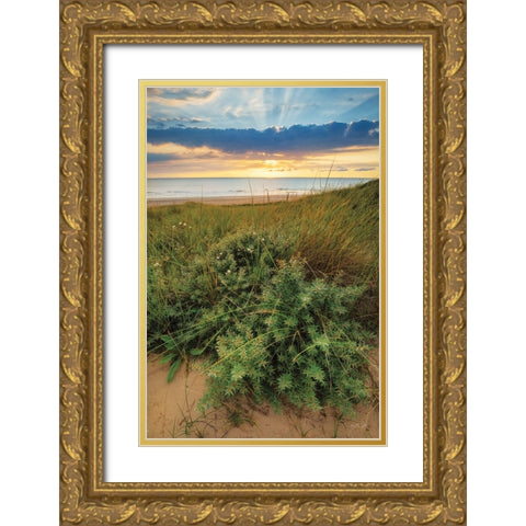 Dutch Dunes Gold Ornate Wood Framed Art Print with Double Matting by Podt, Martin