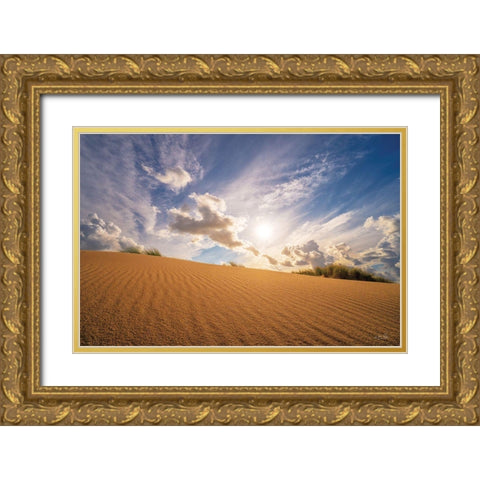 Sandy Perspective Gold Ornate Wood Framed Art Print with Double Matting by Podt, Martin