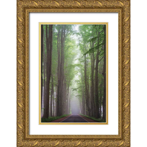 Foggy Road Gold Ornate Wood Framed Art Print with Double Matting by Podt, Martin