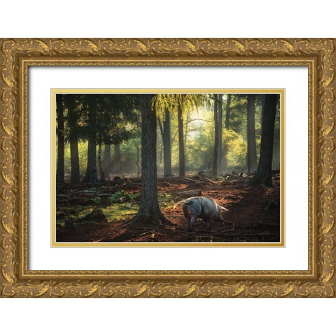 Morning Stroll  Gold Ornate Wood Framed Art Print with Double Matting by Podt, Martin