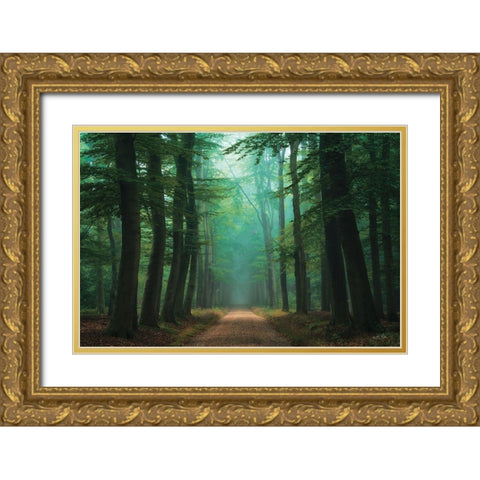 Road of Mysteries Gold Ornate Wood Framed Art Print with Double Matting by Podt, Martin