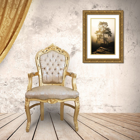 On the Edge of Glory Gold Ornate Wood Framed Art Print with Double Matting by Podt, Martin