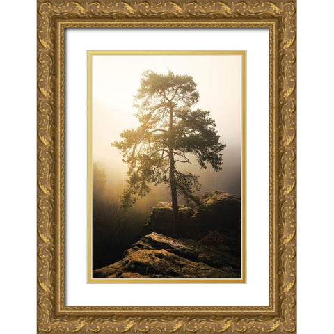 On the Edge of Glory Gold Ornate Wood Framed Art Print with Double Matting by Podt, Martin