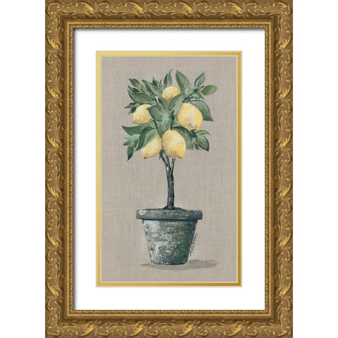 Lemon Tree Gold Ornate Wood Framed Art Print with Double Matting by Norkus, Julie