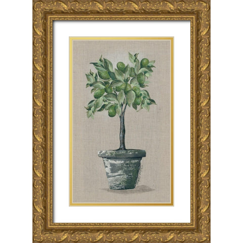 Lime Tree Gold Ornate Wood Framed Art Print with Double Matting by Norkus, Julie