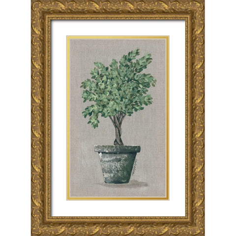 Asymmetrical Topiary Gold Ornate Wood Framed Art Print with Double Matting by Norkus, Julie