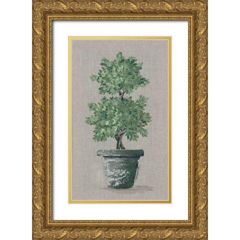 Double Topiary Gold Ornate Wood Framed Art Print with Double Matting by Norkus, Julie