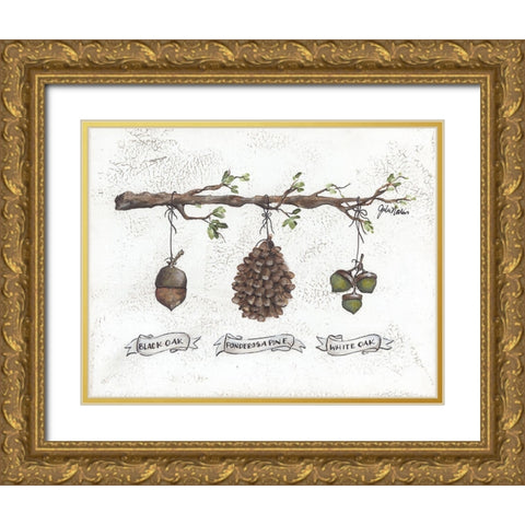 Pinecone Acorn Study Gold Ornate Wood Framed Art Print with Double Matting by Norkus, Julie