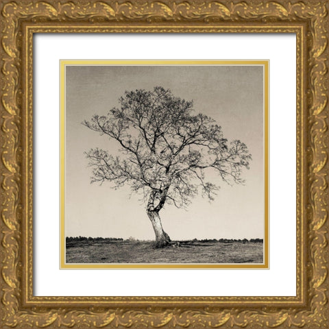 Tree No. 54 Gold Ornate Wood Framed Art Print with Double Matting by Rigsby, Jennifer