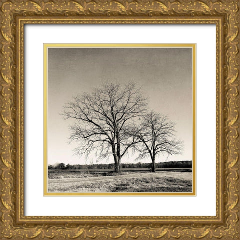 Tree No. 57 Gold Ornate Wood Framed Art Print with Double Matting by Rigsby, Jennifer