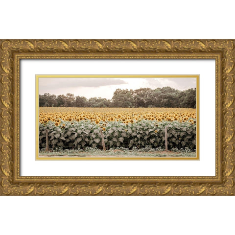 Sunflower Field No. 7 Gold Ornate Wood Framed Art Print with Double Matting by Rigsby, Jennifer