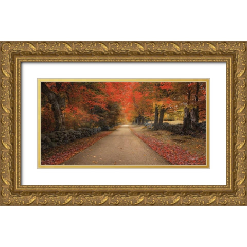October Lane Gold Ornate Wood Framed Art Print with Double Matting by Vieira, Robin-Lee