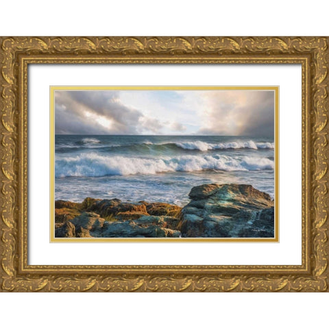 The Clearing Gold Ornate Wood Framed Art Print with Double Matting by Vieira, Robin-Lee