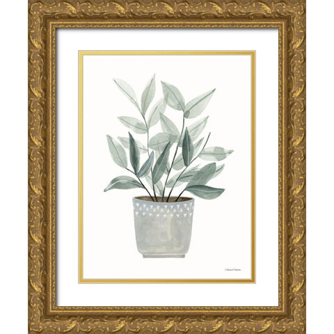 Sage Planter Gold Ornate Wood Framed Art Print with Double Matting by Nieman, Rachel