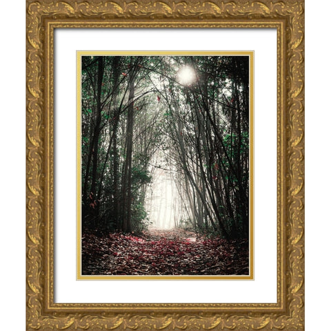 Path in the Woods Gold Ornate Wood Framed Art Print with Double Matting by Ball, Susan