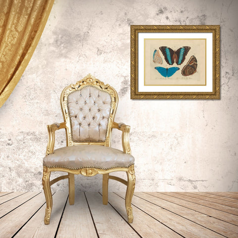 Vintage Butterflies 1 Gold Ornate Wood Framed Art Print with Double Matting by Stellar Design Studio