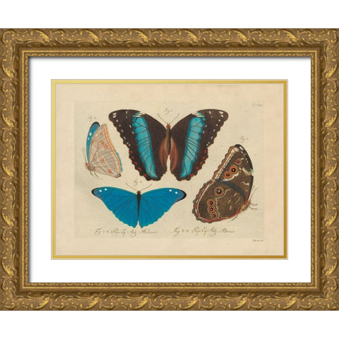 Vintage Butterflies 1 Gold Ornate Wood Framed Art Print with Double Matting by Stellar Design Studio