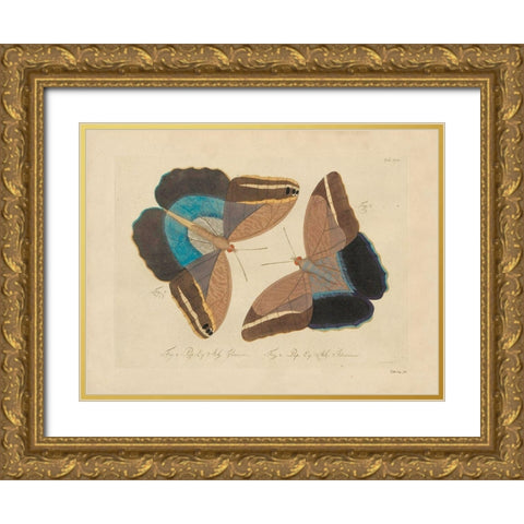 Vintage Butterflies 2 Gold Ornate Wood Framed Art Print with Double Matting by Stellar Design Studio
