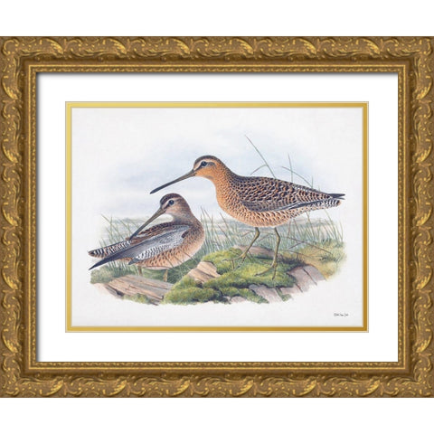 Goulds Coastal Bird VIII Gold Ornate Wood Framed Art Print with Double Matting by Stellar Designs Studio