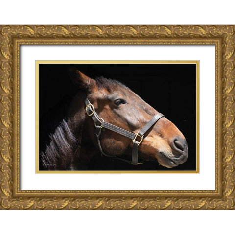 Sir Francis Gold Ornate Wood Framed Art Print with Double Matting by Stellar Design Studio