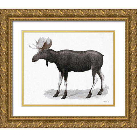 Grand Moose   Gold Ornate Wood Framed Art Print with Double Matting by Stellar Design Studio