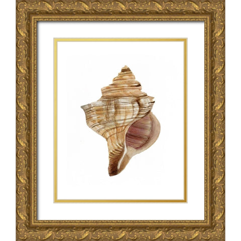 Neutral Shell Collection 1   Gold Ornate Wood Framed Art Print with Double Matting by Stellar Design Studio