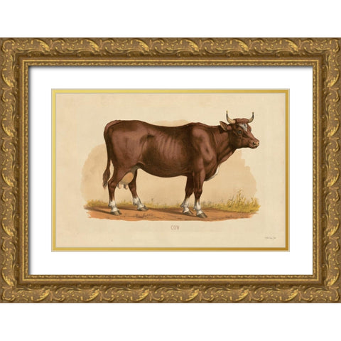 Cow Gold Ornate Wood Framed Art Print with Double Matting by Stellar Designs Studio