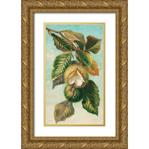 Tree Branch with Fruit II Gold Ornate Wood Framed Art Print with Double Matting by Stellar Design Studio