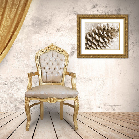 Snowy Pinecone Gold Ornate Wood Framed Art Print with Double Matting by Stellar Design Studio