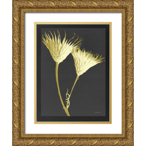 Forms in Nature 2 Gold Ornate Wood Framed Art Print with Double Matting by Stellar Design Studio