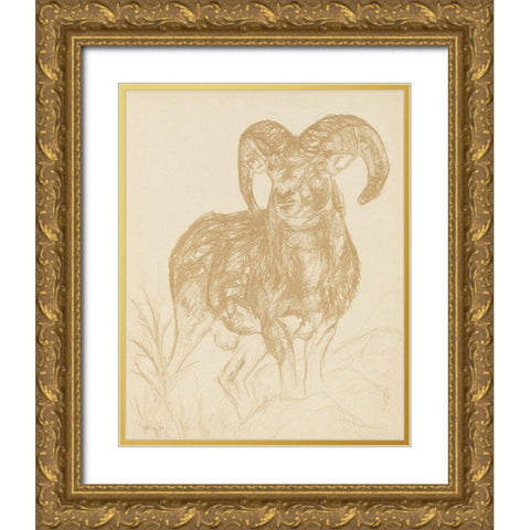 Big Horn Sketch Gold Ornate Wood Framed Art Print with Double Matting by Stellar Design Studio