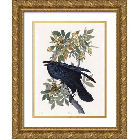 Vintage Crow 2 Gold Ornate Wood Framed Art Print with Double Matting by Stellar Design Studio