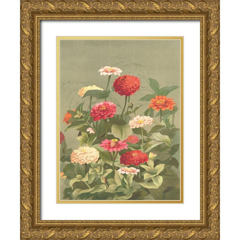 Antique Botanical Collection 1 Gold Ornate Wood Framed Art Print with Double Matting by Stellar Design Studio