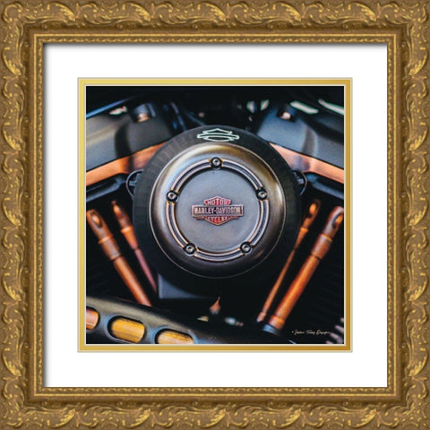 Harley II Gold Ornate Wood Framed Art Print with Double Matting by Seven Trees Design