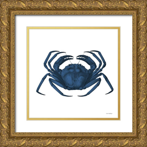 Blue Sea Life I Gold Ornate Wood Framed Art Print with Double Matting by Seven Trees Design