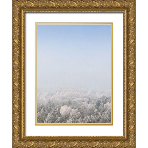 Snow Forest from the Sky   Gold Ornate Wood Framed Art Print with Double Matting by Seven Trees Design